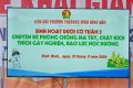 SINH HOẠT DƯỚI CỜ TUẦN 3 VỚI CHUYÊN ĐỀ PHÒNG, CHỐNG MA TÚY, CHẤT KÍCH THÍCH GÂY NGHIỆN VÀ BẠO LỰC HỌC ĐƯỜNG NĂM HỌC 2026-2027