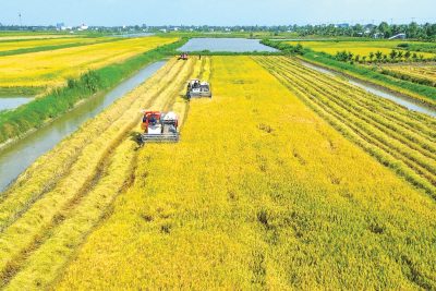 Mùa xuân trên đất anh hùng