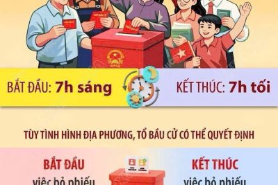 QUY ĐỊNH VỀ THỜI GIAN BỎ PHIẾU